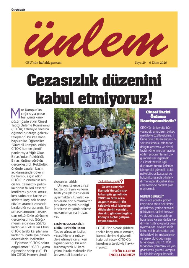 Sayı 29 kapağı